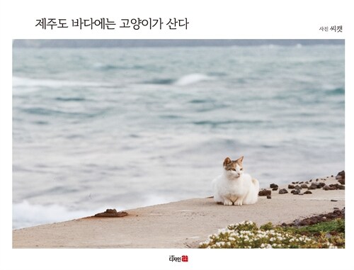 제주 바닷가의 묘생기 『제주도 바다에는 고양이가 산다』 (씨캣, 디자인21)